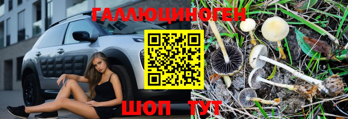 Кандалакша  купить наркотик  Вход с VPN  Псилоцибиновые грибы Magic Shrooms 