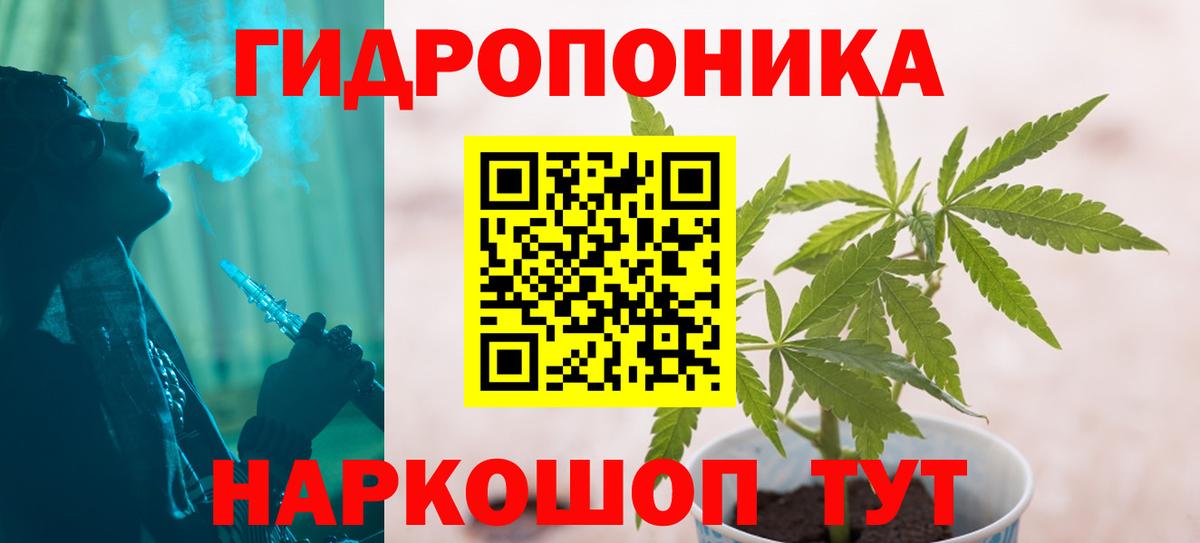 Шишки марихуана гибрид Кандалакша